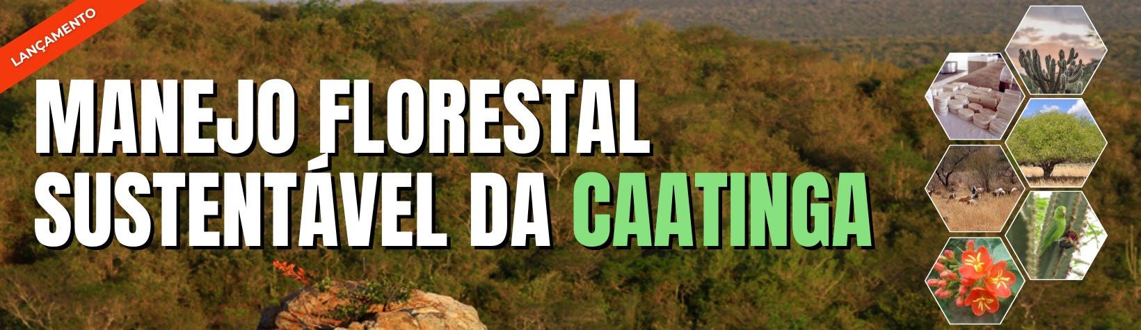 slideshow banner