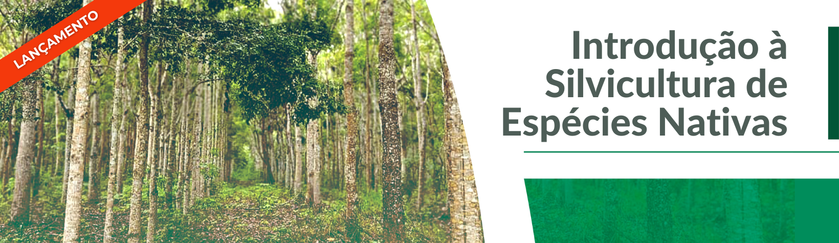 slideshow banner