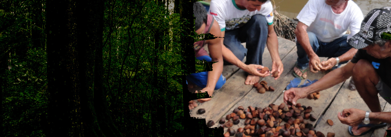 slideshow banner