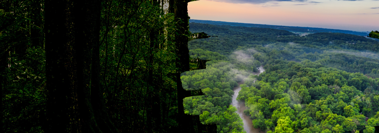 slideshow banner