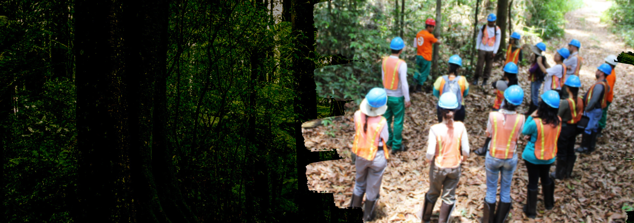 slideshow banner