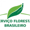 Imagem de Equipe SFB
